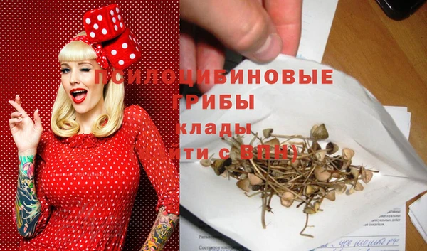 гашик Богородицк