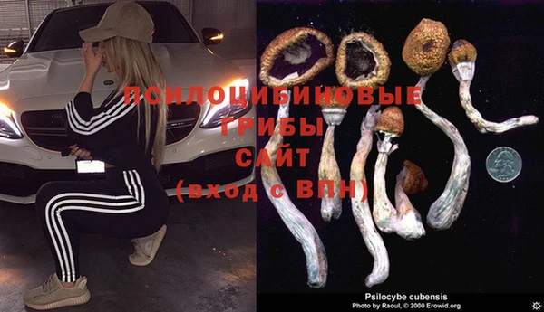 гашик Богородицк
