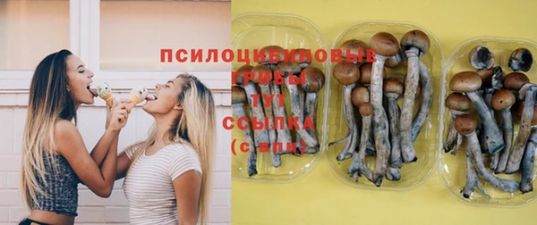 гидропоника Балабаново
