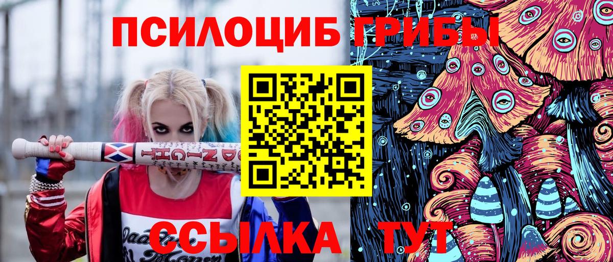 Галлюциногенные грибы Psilocybe  Галлюциногенные грибы Psilocybine cubensis  Дальнегорск  Вход с VPN 